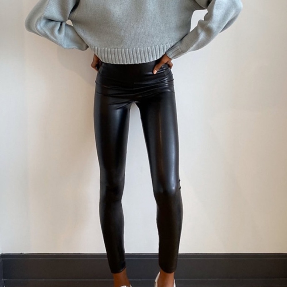 Aritzia Daria leather pant